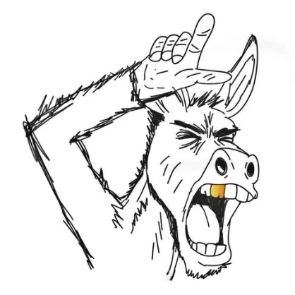 Loser Donkey